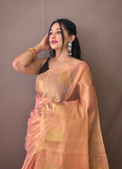 Royal Tissue Silk Zari Weaving & Mango Border Saree