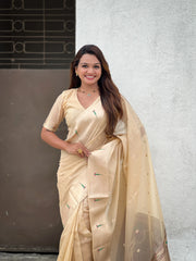 Soft Organza Paithani Saree – Festive Edition