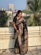 Pashmina Weaves Kashmiri Woven Border Saree