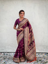 Pashmina Weaves Kashmiri Woven Border Saree