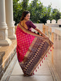 Soft Patola Silk Palakhi Border Saree