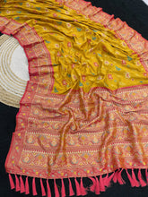 Patola Leheriya Peacock Ikkat Saree