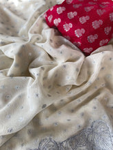 Crush Chiffon Leaf Embroidery Panel Saree