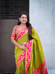 Soft Silk Paithani Nandi Motifs Saree