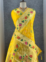Royal Kanchivaram Patola Paithani Silk Saree