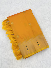 Paithani Vitthala Pallu Muniya Border Saree