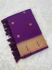 Paithani Vitthala Pallu Muniya Border Saree