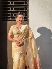 Soft Organza Rajhans Paithani Saree