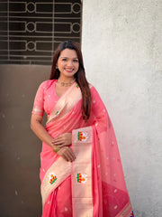 Soft Organza Rajhans Paithani Saree