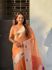 Soft Organza Rajhans Paithani Saree