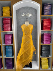 Royal Tissue Silk Zari Weaving & Mango Border Saree