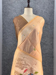 Pure Muga Cotton Parrot Paithani Saree