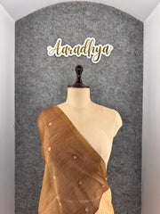 Pure Muga Cotton Parrot Paithani Saree