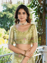 Latest Bandhani Organza Patola Saree