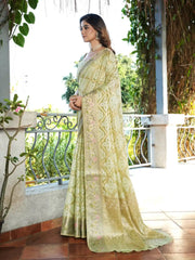 Latest Bandhani Organza Patola Saree