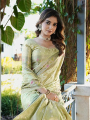 Latest Bandhani Organza Patola Saree