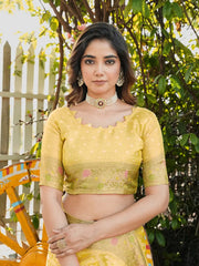 Latest Bandhani Organza Patola Saree