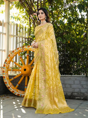 Latest Bandhani Organza Patola Saree