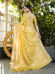 Latest Bandhani Organza Patola Saree