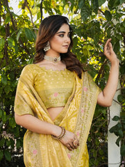 Latest Bandhani Organza Patola Saree