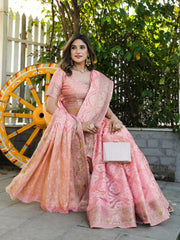 Latest Bandhani Organza Patola Saree