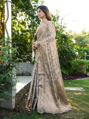 Latest Bandhani Organza Patola Saree
