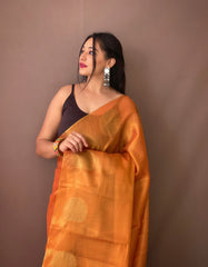 Royal Tissue Silk Zari Weaving & Mango Border Saree