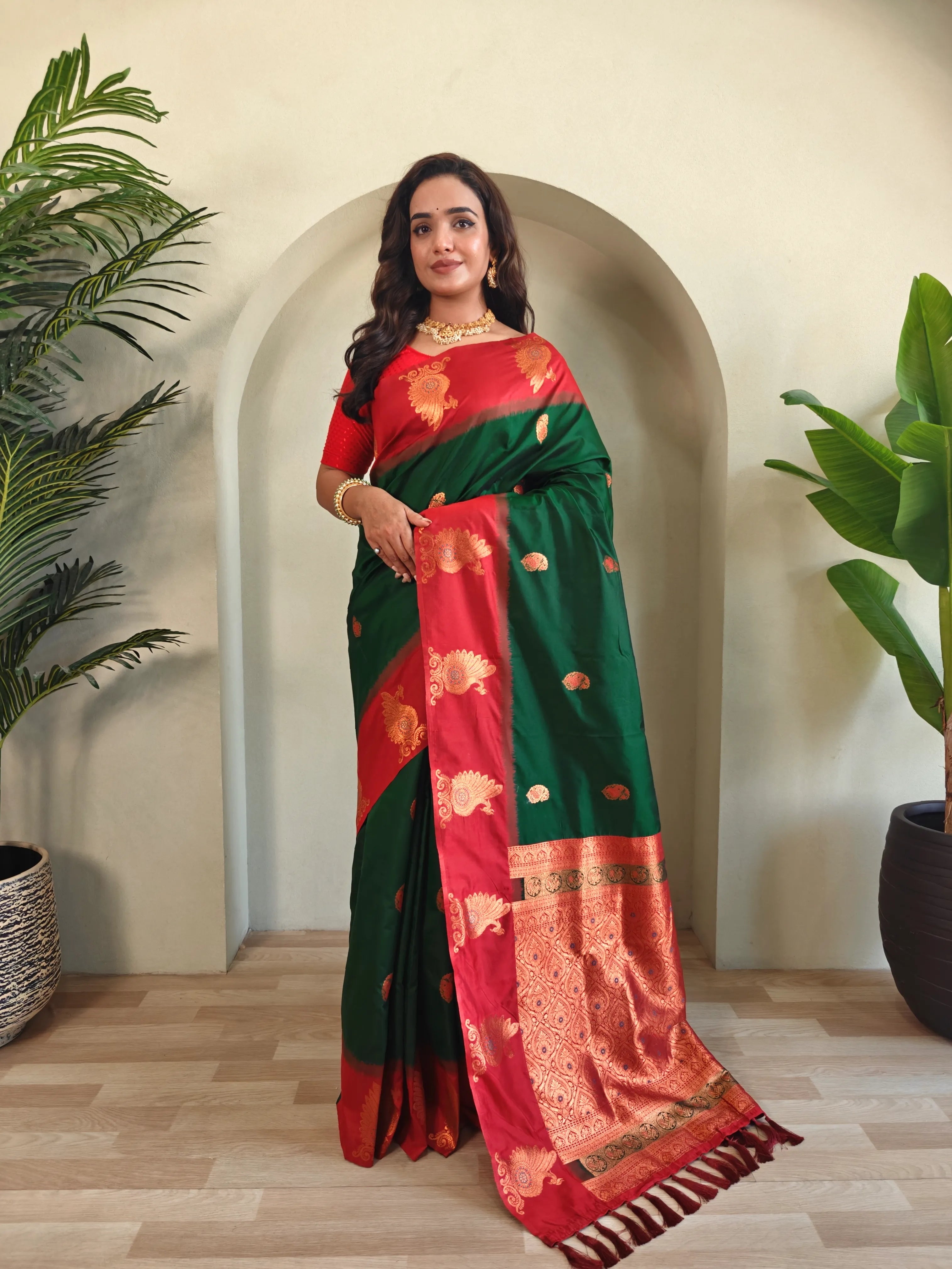 Dual Tone Unique Peacock Border Soft Silk Saree