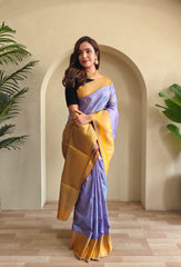 Soft Silk Banarasi Designer Paithani Saree