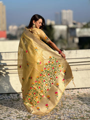 Organza Jamdani Pastel Saree