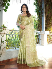 Latest Bandhani Organza Patola Saree