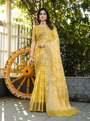 Latest Bandhani Organza Patola Saree