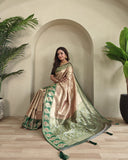 Zari Kanchi SIlk Contrast Border Banarasi Saree  (Product Code: AS-921)