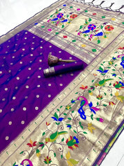 Soft Silk Broad Border Kanchivaram Paithani Saree
