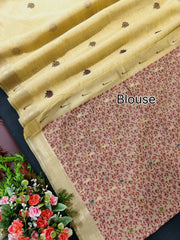 New Concept Resham Weaving Muga Cotton Paithani Saree