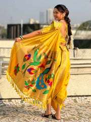 Maharashtra Best Seller Wedding Special Nauvari Paithani Soft Silk Saree