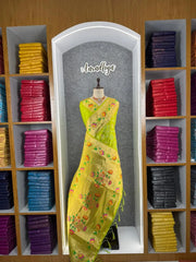 Royal Kanchivaram Patola Paithani Silk Saree