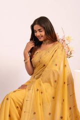 Soft Pure Muga Cotton Paithani Saree