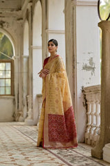 Ikkat Soft Desi Raw Silk Saree