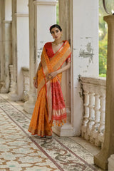 Ikkat Soft Desi Raw Silk Saree
