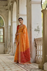 Ikkat Soft Desi Raw Silk Saree