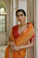 Ikkat Soft Desi Raw Silk Saree