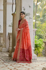 Ikkat Soft Desi Raw Silk Saree