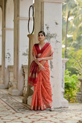 Ikkat Soft Desi Raw Silk Saree