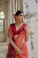 Ikkat Soft Desi Raw Silk Saree