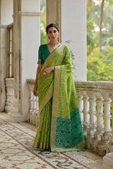 Ikkat Soft Desi Raw Silk Saree