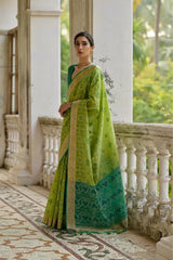Ikkat Soft Desi Raw Silk Saree