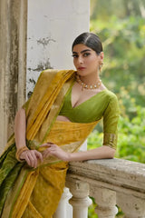 Ikkat Soft Desi Raw Silk Saree