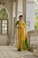 Ikkat Soft Desi Raw Silk Saree
