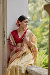 Ikkat Soft Desi Raw Silk Saree